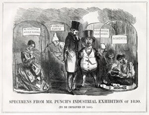Images Dated 27th December 2019: Cartoon, Specimens from Mr Punchs Industrial Exhibition