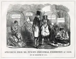 Specimens Prints: Cartoon, Specimens from Mr Punchs Industrial Exhibition