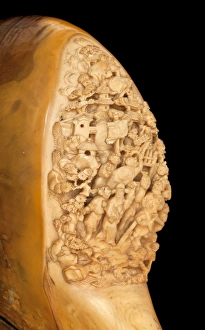Images Dated 7th September 2012: Carved Hornbill Skull