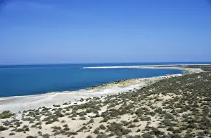 Abandoned Prints: Caspian Sea Shore - sand desert with scarce vegetation
