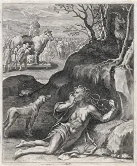 Cassandra and the Horse