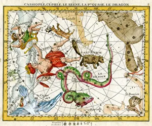 Celestial Prints: Cassiopia, Cephee, Reene, Little Bear, Dragon