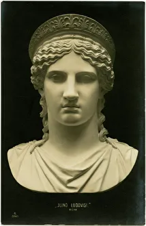 Jan16 Collection: Cast copy of the Juno Ludovisi