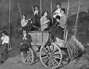 Mittens Prints: Cast of The Country Girl at Dalys knitting, WW1