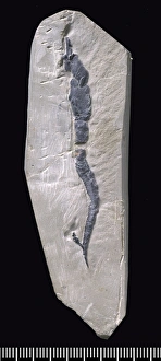 Images Dated 2003 May: 