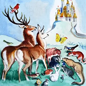 Should they go to the castle?
