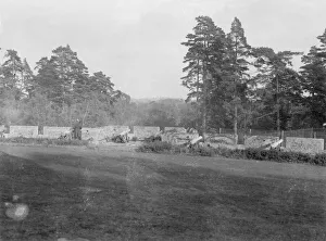 Images Dated 16th January 2012: Castle Battlements