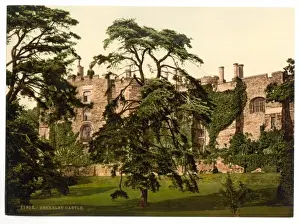 The Castle, Berkeley, England