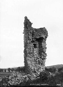 Stump Gallery: Castle Boy, Ardkeen