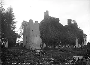 Close Collection: Castle Caldwell, Co. Fermanagh