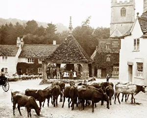 Castle Combe early 1900s