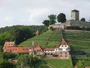 Vine Yard Gallery: Castles at Beilstein, Baden-Wurttemberg, Germany