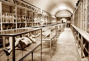 Casts Prints: Casts in Pompeii Museum, Italy