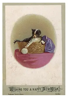 Paws Prints: Cat and Ball of Wool