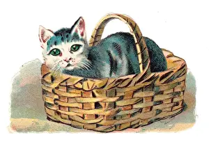 Cat in a basket on a Victorian scrap