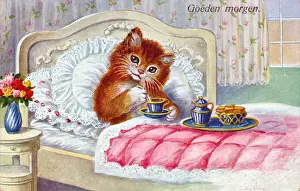 Lacy Prints: Cat in bed on a Dutch greetings postcard