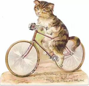 Victorian and Edwardian Christmas Cards Gallery: Cat on a bicycle on a cutout Christmas card
