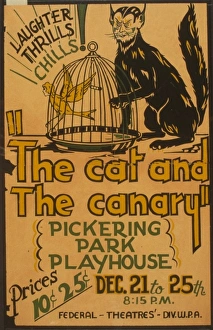 The cat and the canary