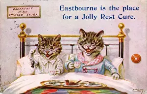 Nightshirt Prints: Cat couple in bed on a greetings postcard