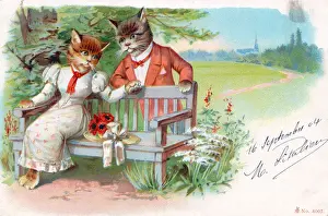 Cat couple in a park on a greetings postcard