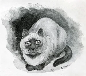 Siam Prints: The Cat Show at the Crystal Palace by Louis Wain