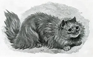 The Cat Show at the Crystal Palace by Louis Wain