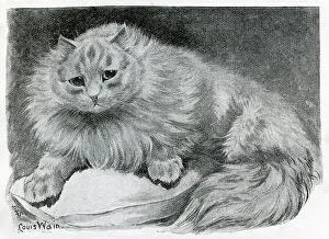 The Cat Show at the Crystal Palace by Louis Wain