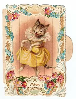 Images Dated 4th December 2015: Cat dancing on a Christmas card