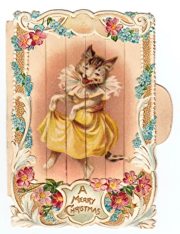 Images Dated 4th December 2015: Cat dancing on a Christmas card