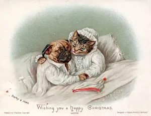 Nightshirt Prints: Cat and dog in bed on a Christmas card