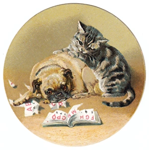 Ripped Gallery: Cat and dog on a circular greetings card