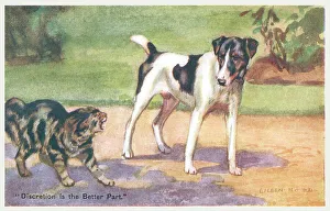 Enemies Prints: Cat & Dog Fight