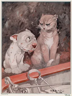Bonzo Collection: A Cat and Dog Life by George Studdy