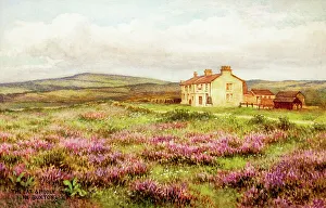 Heather Prints: Cat and Fiddle Inn, near Buxton, Derbyshire Dales