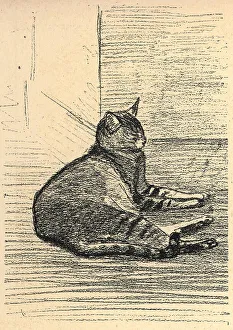 Cat On The Floor