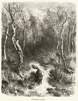 Climbs Prints: The Cat & the Fox C1870
