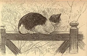 Ridge Prints: The Cat On The Gate