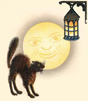 Images Dated 9th November 2020: Cat hissing at a lantern as the moon looks