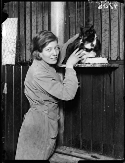 Stray Gallery: Cat in a Hostel