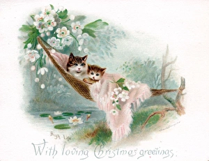 Lily Gallery: Cat and kitten in a hammock on a Christmas card