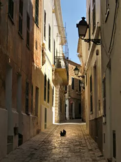 Alleyway Gallery: Cat and kitten sit in the middle of an alleyway, Ciutedella