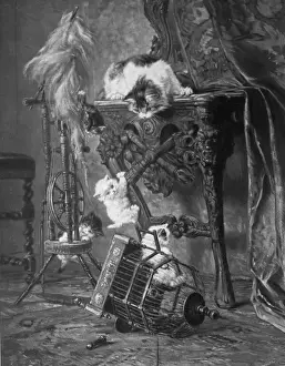 Bird Cage Prints: Cat and three kittens with a birdcage