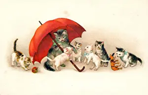 Cat and kittens with a red umbrella on a postcard