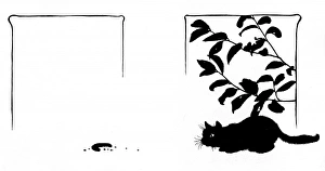 Images Dated 28th October 2011: Cat under laurel bush, looking at crust