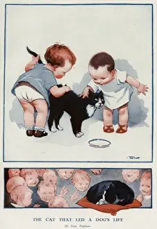 The cat that lead a dogs life