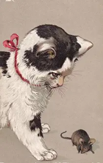 Cat & mouse