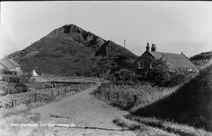 Saltburn Prints: Cat Nab, Saltburn