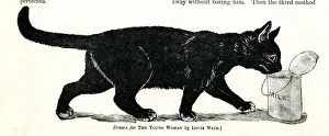 Cat and pail of milk, Mr Louis Wain at Home