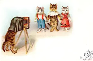 Client Prints: Cat photographer and clients on a French postcard