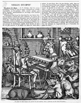 Images Dated 22nd February 2011: Cat piano and animal choir
